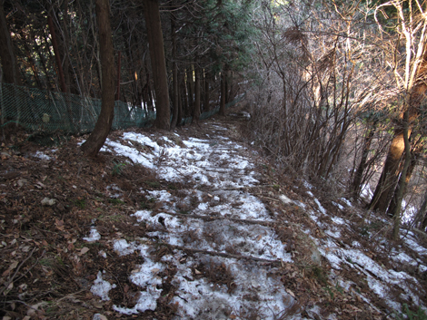 20160128hike (280)